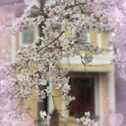 つかさ 御礼 逢って30秒で即尺