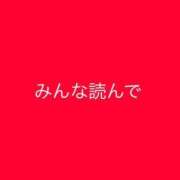 ヒメ日記 2026/02/19 04:21 投稿 さら 船橋ときめき女学園