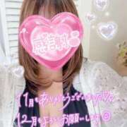 ヒメ日記 2024/12/13 13:04 投稿 桜（さくら） ビッグバード