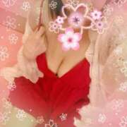 ヒメ日記 2025/02/23 09:44 投稿 桜（さくら） ビッグバード