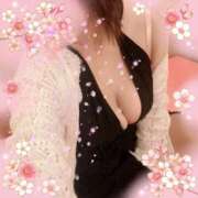 ヒメ日記 2025/03/20 12:00 投稿 桜（さくら） ビッグバード