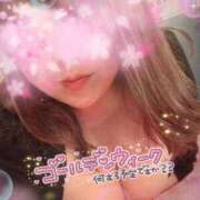 ヒメ日記 2025/04/27 10:24 投稿 桜（さくら） ビッグバード