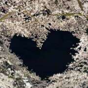 ヒメ日記 2025/05/06 20:15 投稿 桜（さくら） ビッグバード