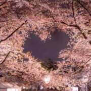 ヒメ日記 2025/05/25 19:13 投稿 桜（さくら） ビッグバード