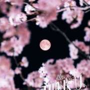 ヒメ日記 2025/05/26 09:44 投稿 桜（さくら） ビッグバード