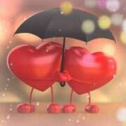 ヒメ日記 2025/07/14 12:44 投稿 桜（さくら） ビッグバード