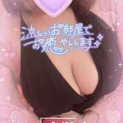 ヒメ日記 2025/07/22 09:54 投稿 桜（さくら） ビッグバード