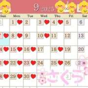 ヒメ日記 2025/09/07 10:44 投稿 桜（さくら） ビッグバード