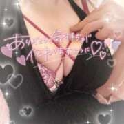 ヒメ日記 2025/10/05 09:04 投稿 桜（さくら） ビッグバード