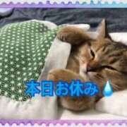 ヒメ日記 2026/08/06 06:44 投稿 桜（さくら） ビッグバード