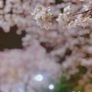 ヒメ日記 2025/04/06 22:15 投稿 ★あやの★ 沼津発 人妻デリヘル お蝶婦人