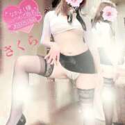 ヒメ日記 2024/12/07 08:18 投稿 さくら エレガンス(広島)