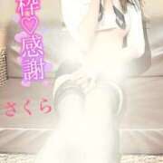 ヒメ日記 2024/12/11 08:30 投稿 さくら エレガンス(広島)