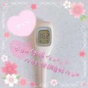 ヒメ日記 2024/12/11 08:36 投稿 さくら エレガンス(広島)