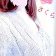 ヒメ日記 2025/01/14 06:38 投稿 さくら エレガンス(広島)