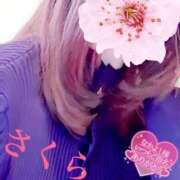 ヒメ日記 2025/01/14 06:58 投稿 さくら エレガンス(広島)