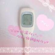 ヒメ日記 2025/02/03 07:28 投稿 さくら エレガンス(広島)