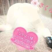 ヒメ日記 2025/02/04 08:32 投稿 さくら エレガンス(広島)