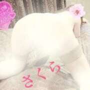 ヒメ日記 2025/02/07 06:25 投稿 さくら エレガンス(広島)