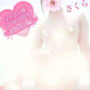 ヒメ日記 2025/03/13 07:34 投稿 さくら エレガンス(広島)