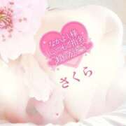 ヒメ日記 2025/03/13 08:22 投稿 さくら エレガンス(広島)