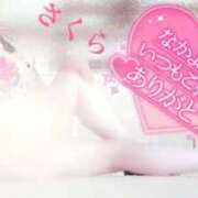 ヒメ日記 2025/03/18 08:08 投稿 さくら エレガンス(広島)