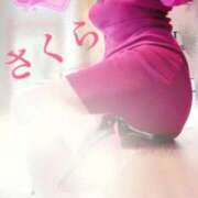 ヒメ日記 2025/03/19 07:55 投稿 さくら エレガンス(広島)