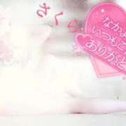 ヒメ日記 2025/03/24 07:28 投稿 さくら エレガンス(広島)