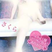 ヒメ日記 2025/03/24 08:08 投稿 さくら エレガンス(広島)