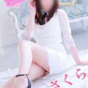 ヒメ日記 2025/03/28 07:48 投稿 さくら エレガンス(広島)