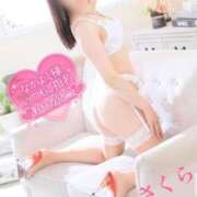 ヒメ日記 2025/03/29 07:48 投稿 さくら エレガンス(広島)