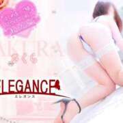 ヒメ日記 2025/03/31 07:03 投稿 さくら エレガンス(広島)