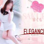 ヒメ日記 2025/04/01 07:48 投稿 さくら エレガンス(広島)