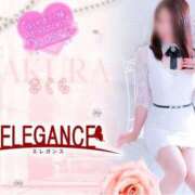 ヒメ日記 2025/04/01 08:18 投稿 さくら エレガンス(広島)