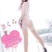 ヒメ日記 2025/04/04 07:26 投稿 さくら エレガンス(広島)