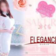 ヒメ日記 2025/04/10 07:58 投稿 さくら エレガンス(広島)