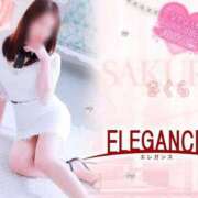ヒメ日記 2025/04/10 08:07 投稿 さくら エレガンス(広島)