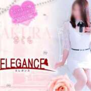 ヒメ日記 2025/04/10 08:15 投稿 さくら エレガンス(広島)