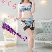 ヒメ日記 2025/04/11 09:08 投稿 さくら エレガンス(広島)