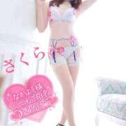 ヒメ日記 2025/04/14 07:58 投稿 さくら エレガンス(広島)