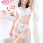 ヒメ日記 2025/04/16 08:13 投稿 さくら エレガンス(広島)