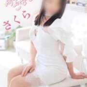 ヒメ日記 2025/04/16 08:32 投稿 さくら エレガンス(広島)