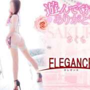 ヒメ日記 2025/04/17 08:18 投稿 さくら エレガンス(広島)