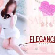 ヒメ日記 2025/04/18 08:18 投稿 さくら エレガンス(広島)