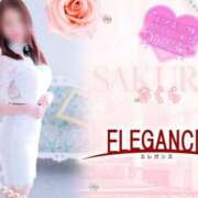 ヒメ日記 2025/04/18 08:30 投稿 さくら エレガンス(広島)