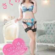 ヒメ日記 2025/04/19 08:27 投稿 さくら エレガンス(広島)