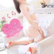 ヒメ日記 2025/04/23 07:28 投稿 さくら エレガンス(広島)