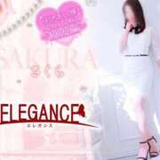 ヒメ日記 2025/04/24 07:48 投稿 さくら エレガンス(広島)