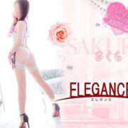 ヒメ日記 2025/04/24 08:27 投稿 さくら エレガンス(広島)