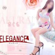 ヒメ日記 2025/04/24 08:40 投稿 さくら エレガンス(広島)